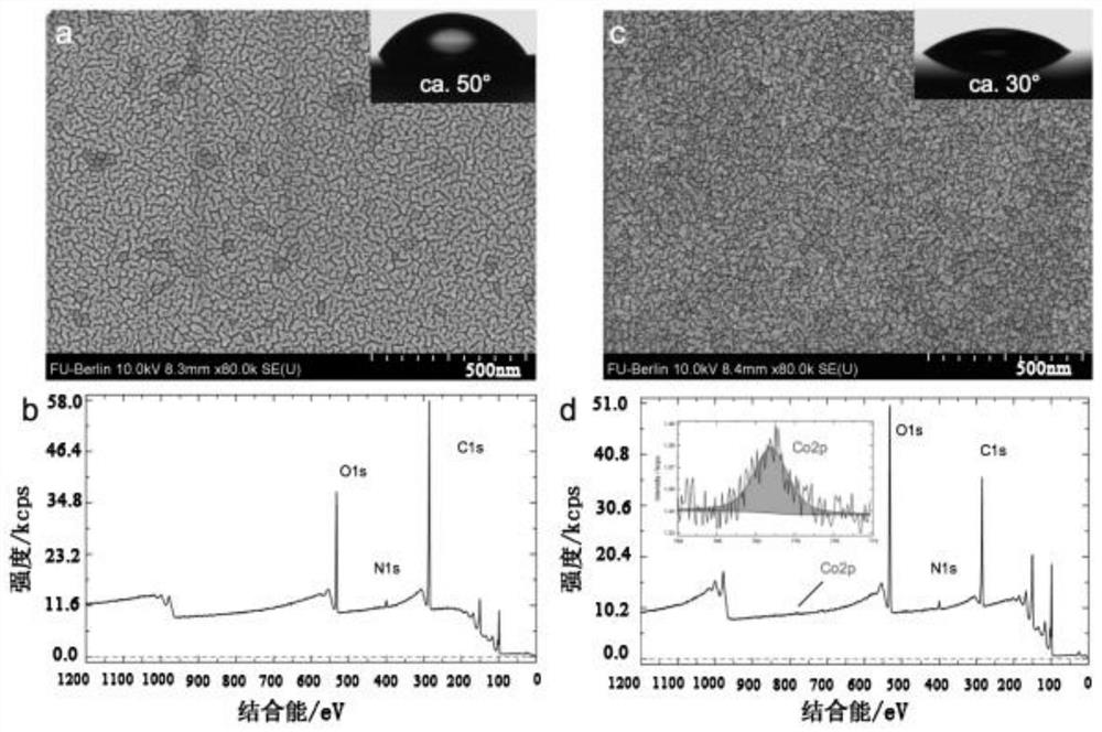 A kind of antibacterial polymer polyvinyl alcohol material and its method and application