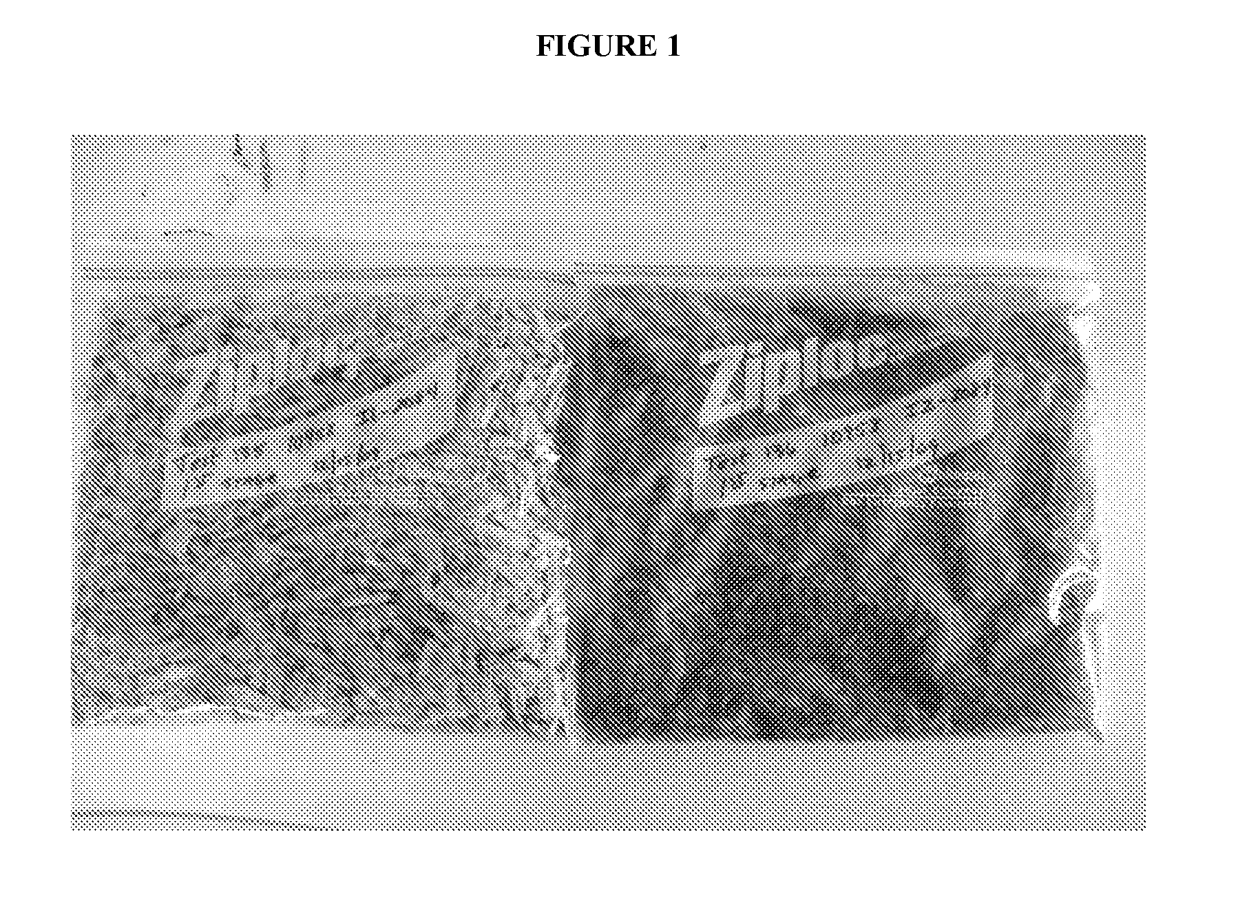 Method for extracting soluble sugar molecules from biomass material