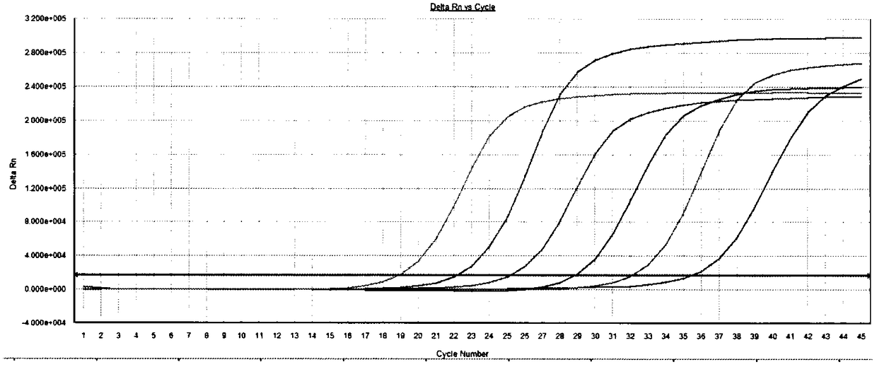 DNA nucleic acid constant value quality control material and preparation method thereof