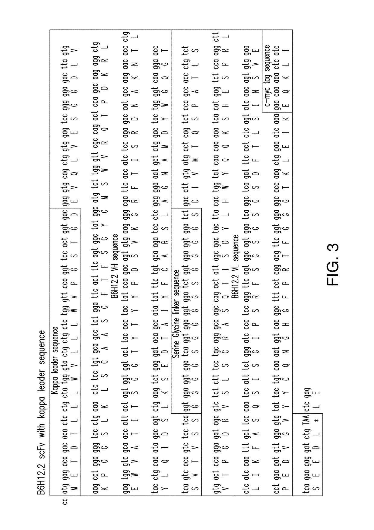 Compositions and methods for immunotherapy