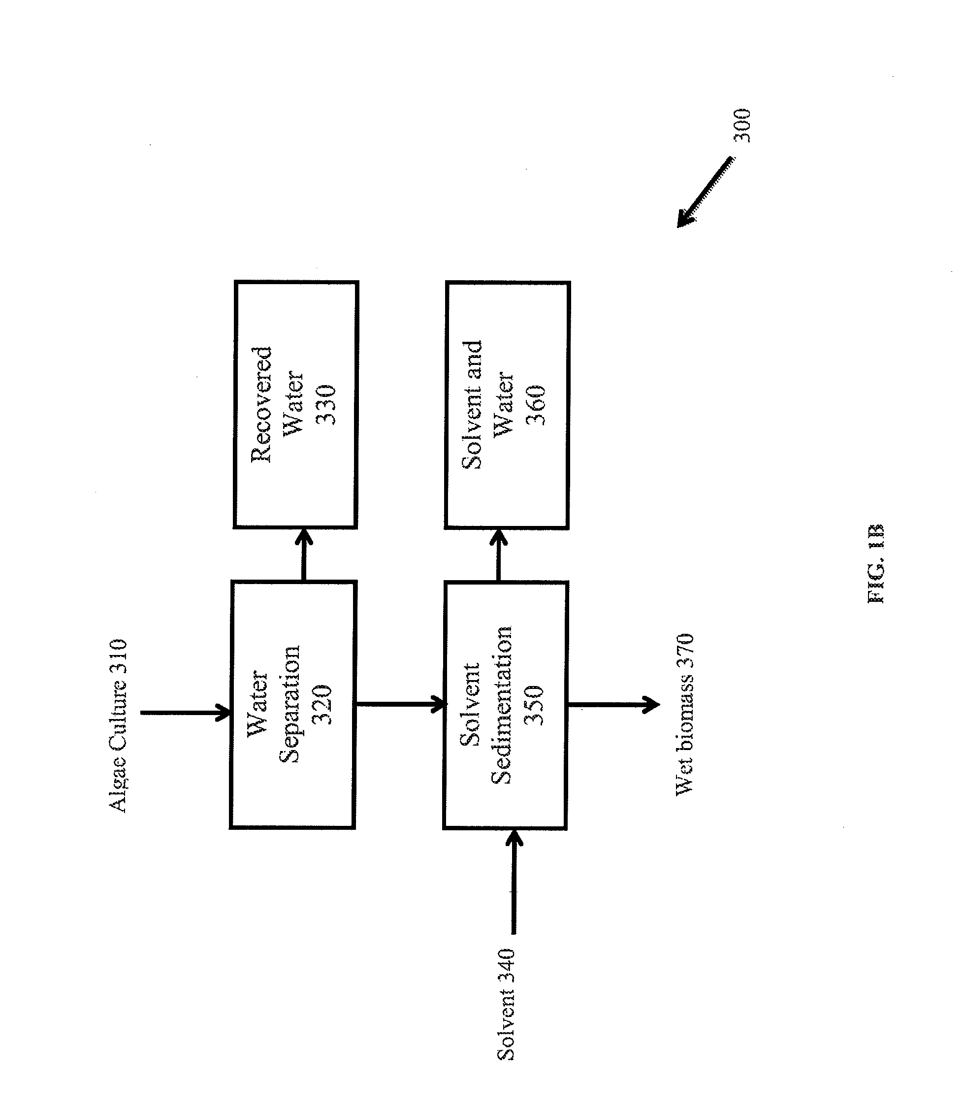 Method of extracting neutral lipids with two solvents