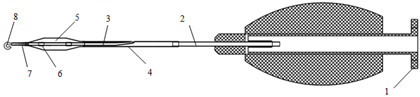 Balloon dilatation catheter and preparation method thereof