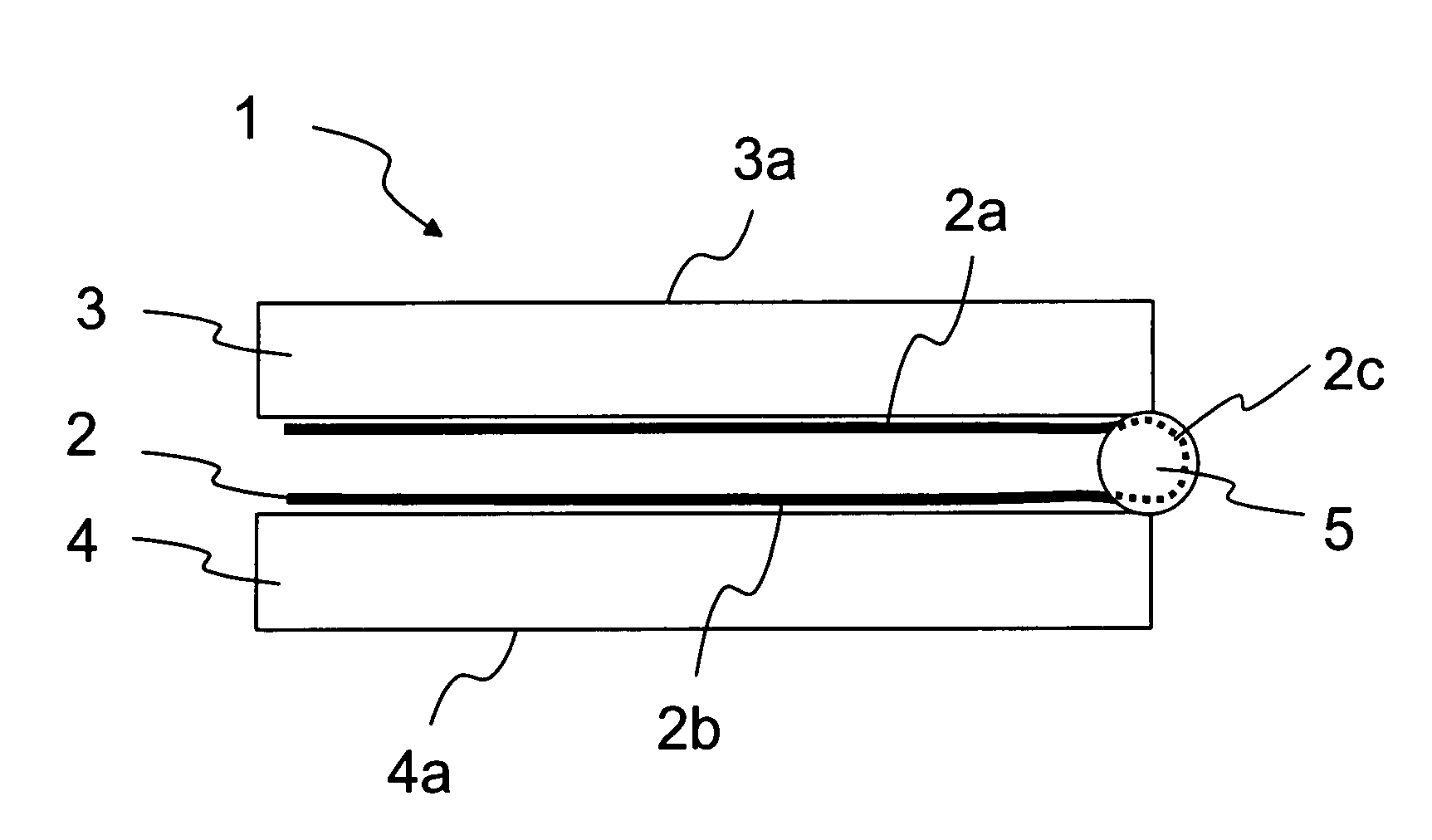 Foldable electronic device and a flexible display device