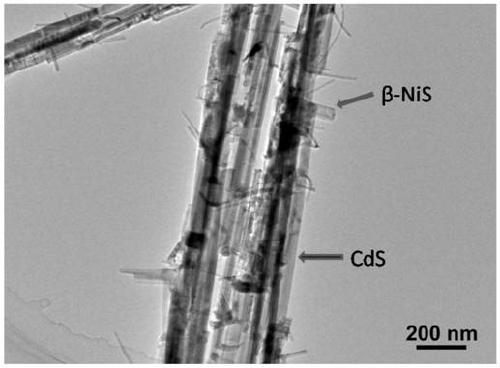 A nickel sulfide-cadmium sulfide nanowire heterostructure and its preparation method