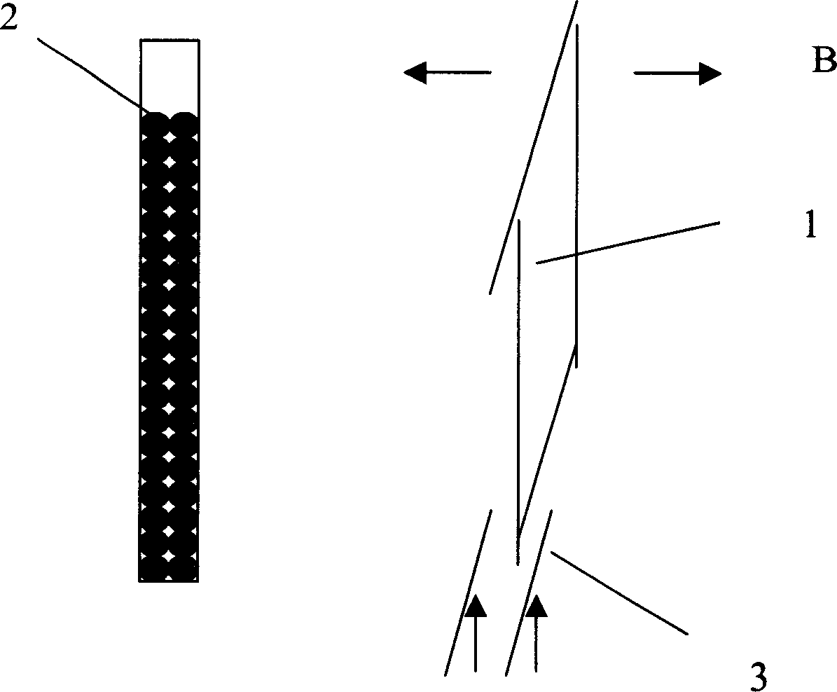 Jetting electroplating method directly of nozzle