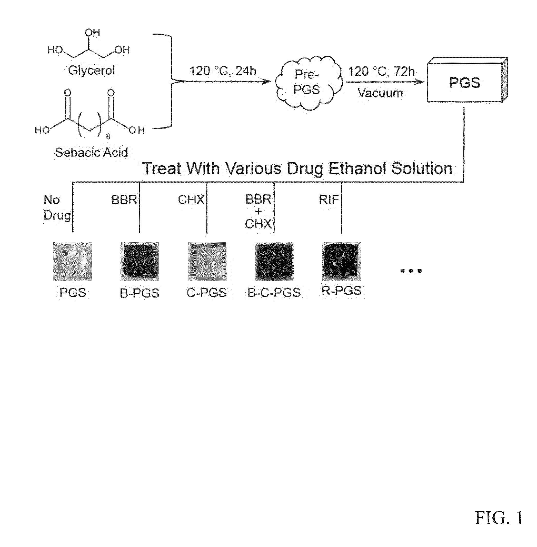 Biopolymer Drug Loading Method