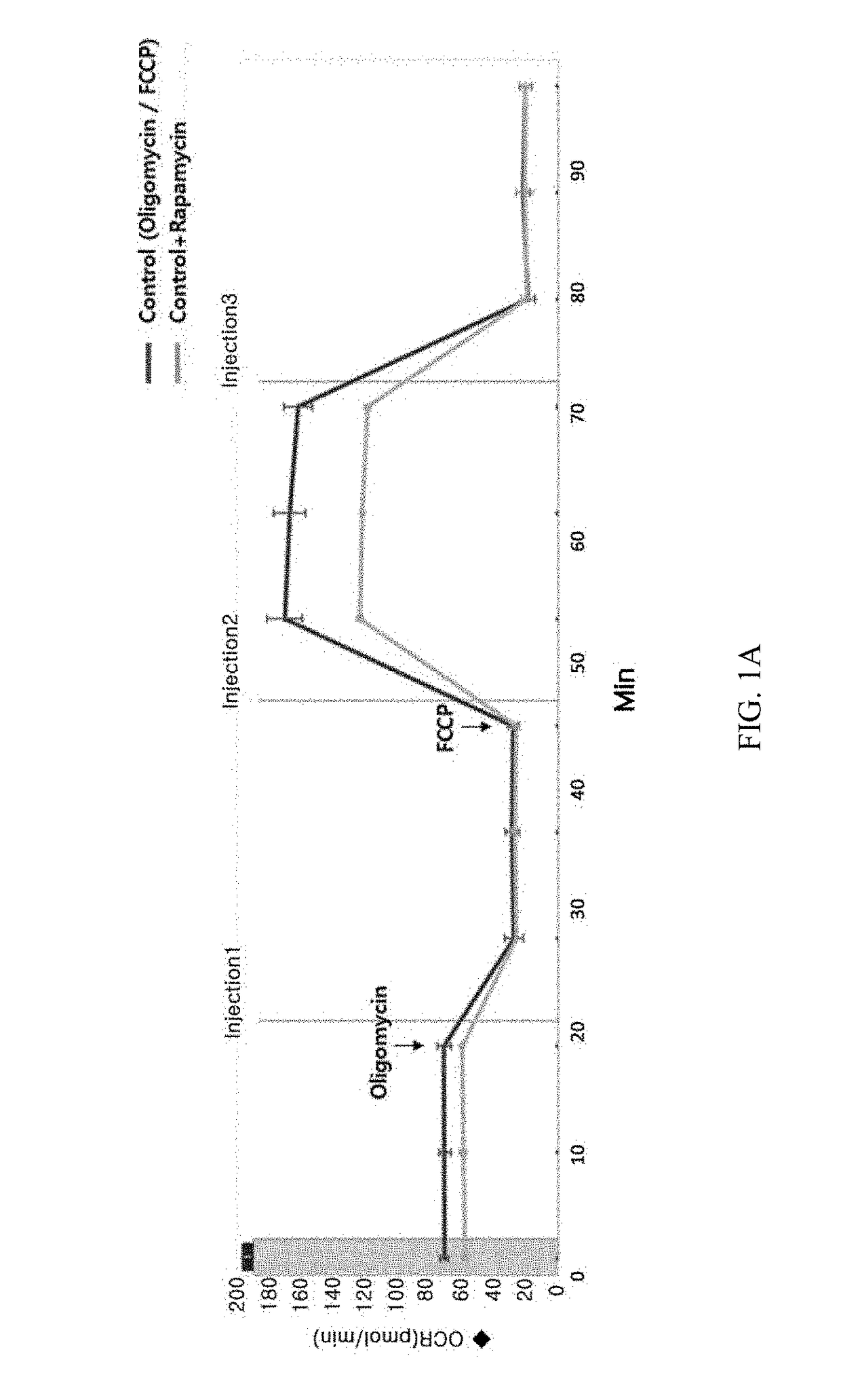 Composition for preventing or treating mitochondrial diseases caused by immunosuppressants, and immune diseases, containing metformin