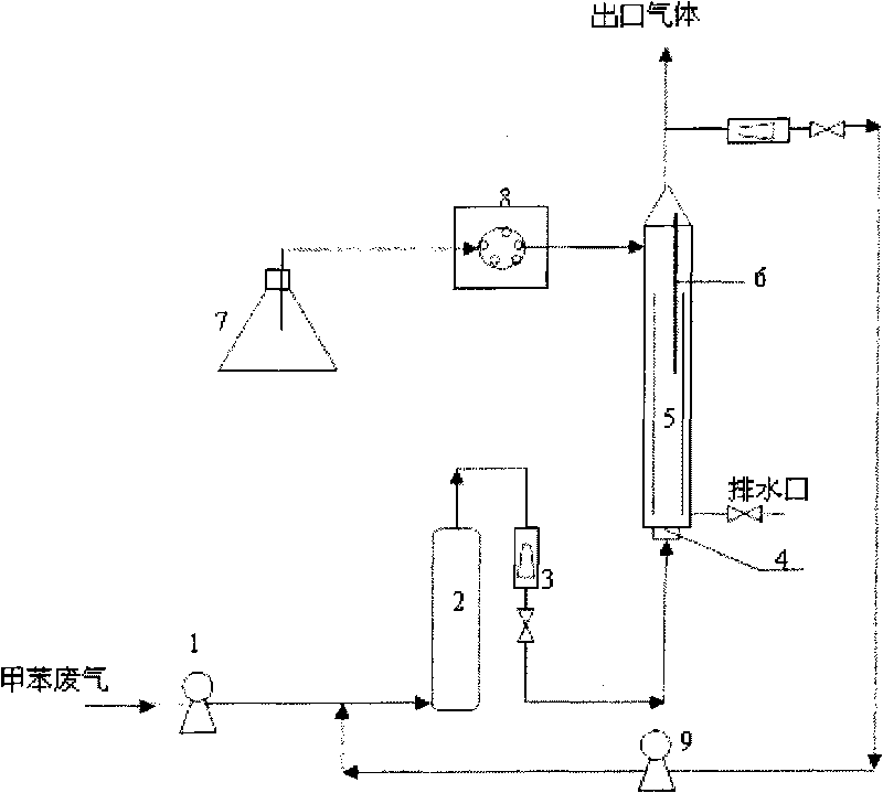 Apparatus and method of airlift three-phase loop bio-reactor for purifying toluene waste gas