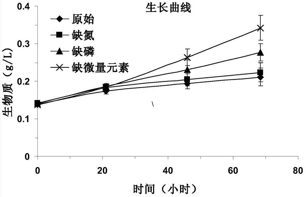 Culture method for increasing biomass and grease yield of microalgae