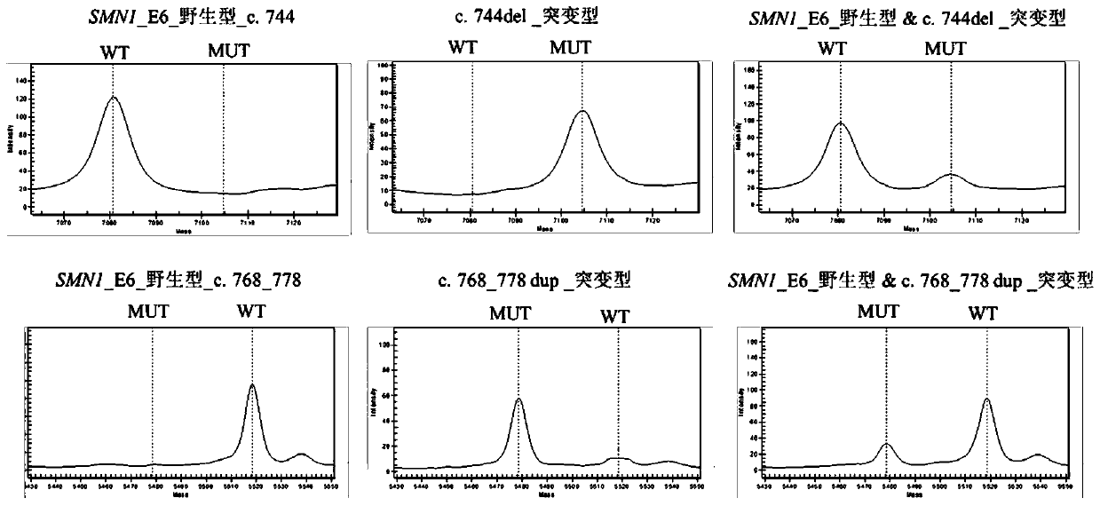 Detection method of SMN1 gene mutation and kit