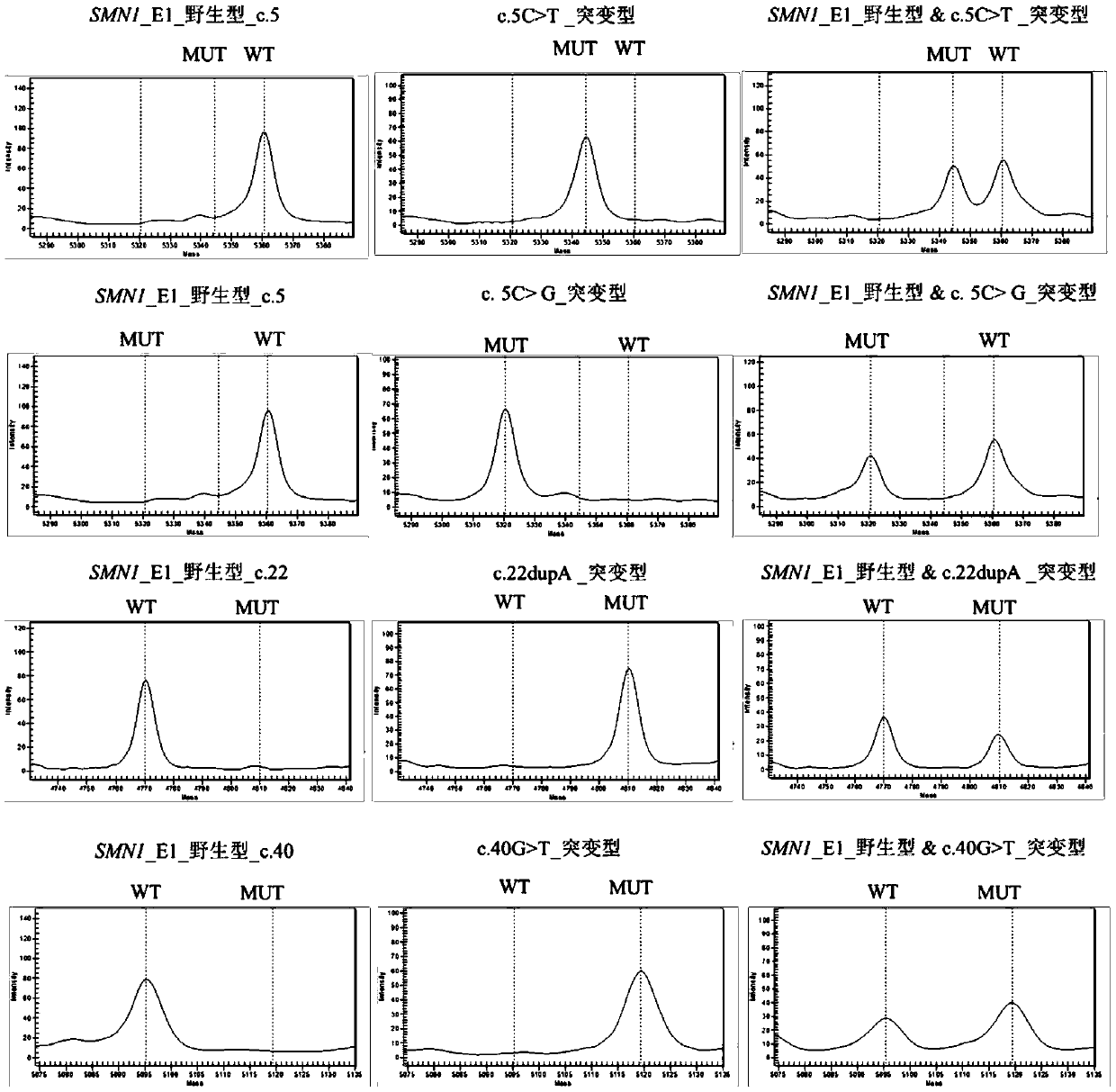 Detection method of SMN1 gene mutation and kit