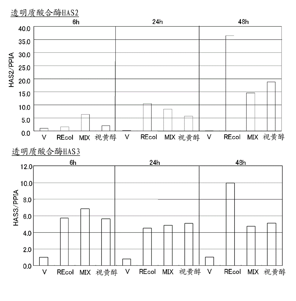 Retinol-modified collagen, method for producing same, and external composition for skin containing same