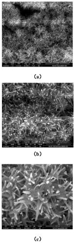NiO/WO3 photocatalyst with hierarchical nanostructure, and preparation method and application thereof