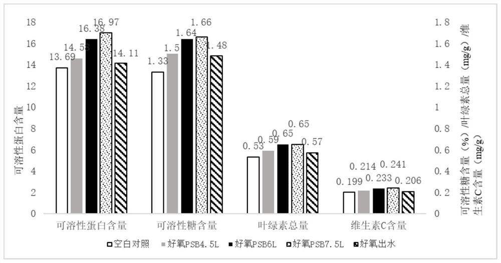 Method for preparing ecological bacterial fertilizer from aerobic pig manure wastewater