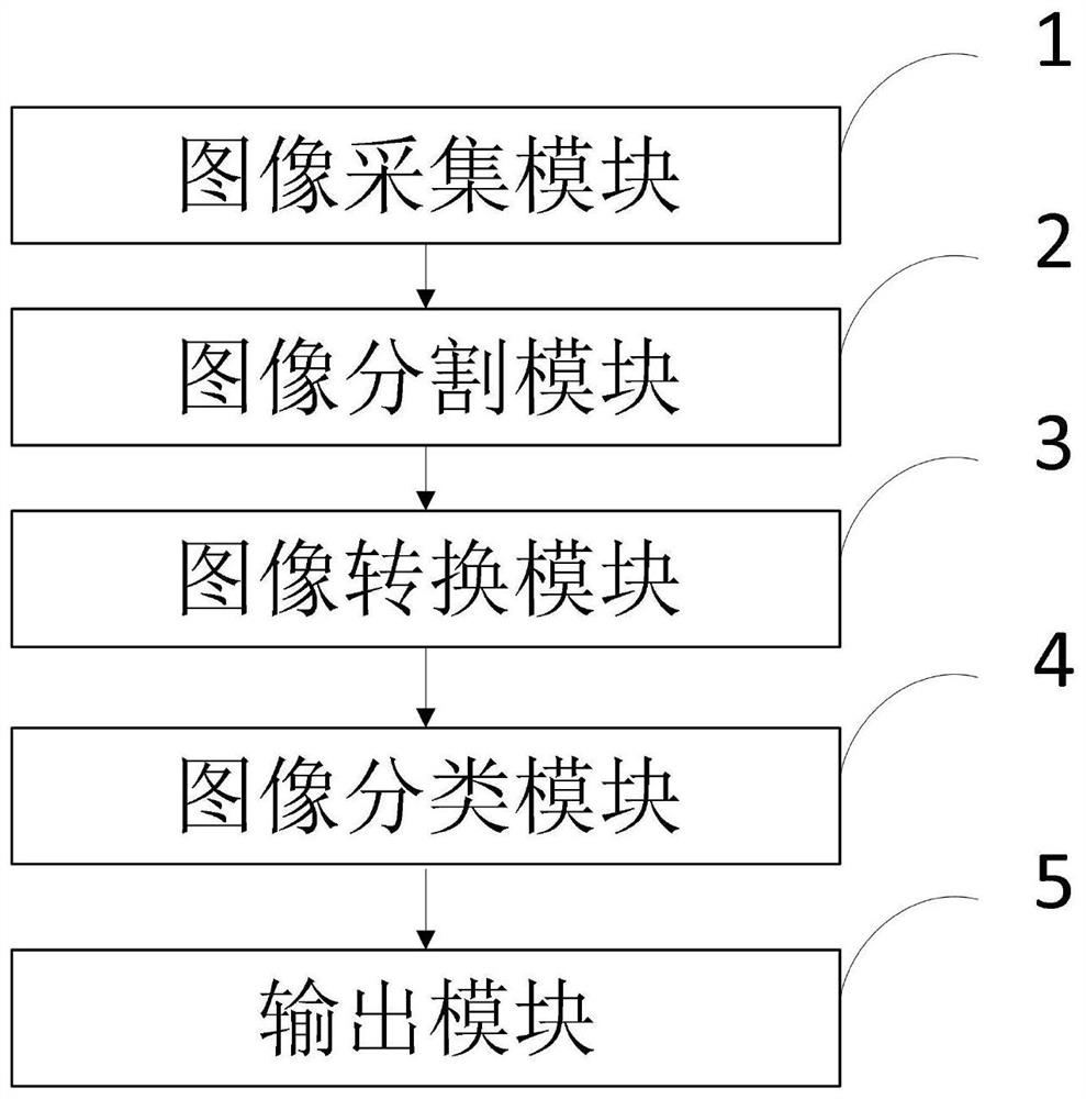 Ultrasonic endoscope, artificial intelligence auxiliary identification method and system, terminal and medium