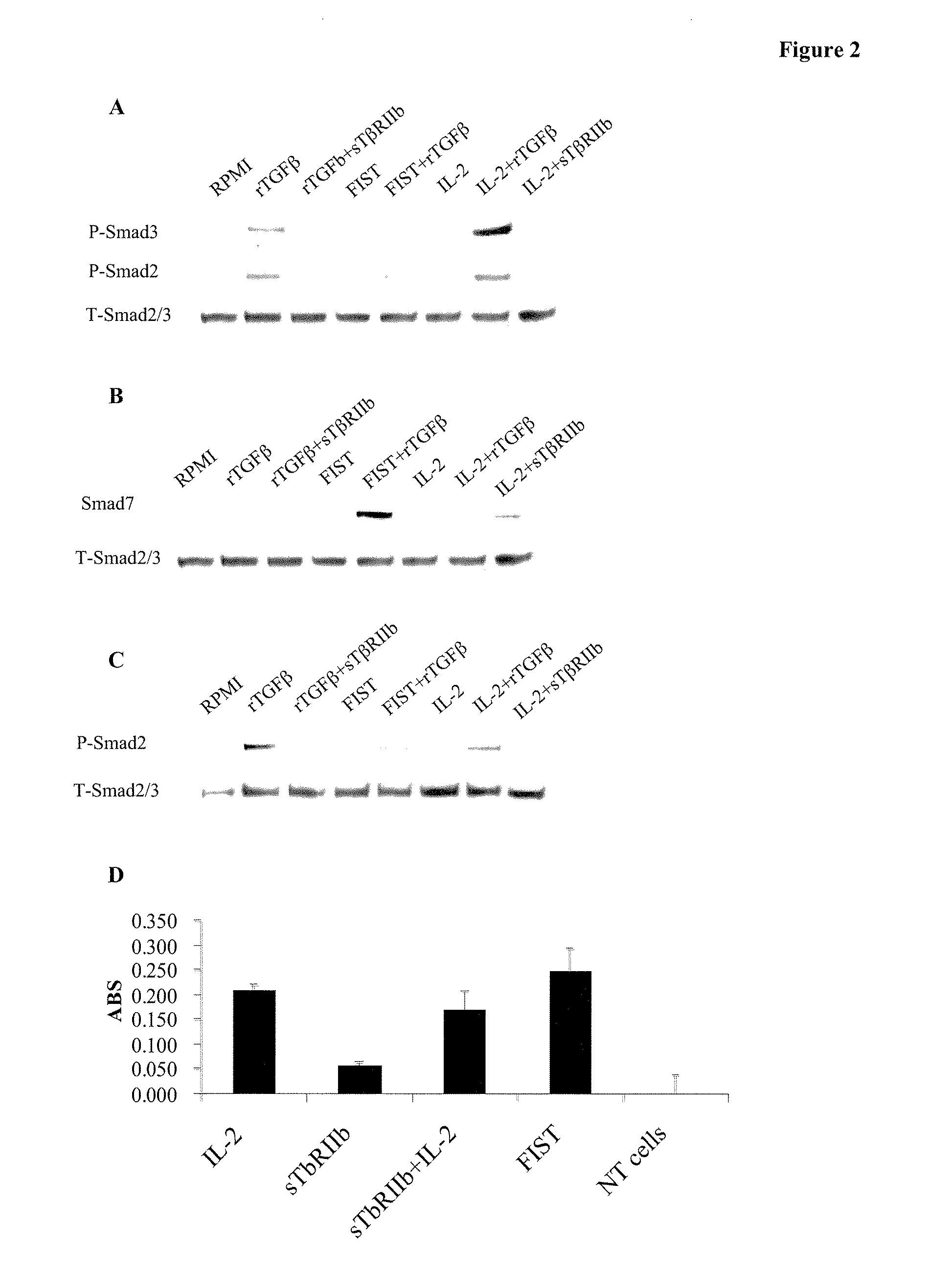 Interleukin-2/soluble tgf-beta type ii receptor b conjugates and methods and uses thereof