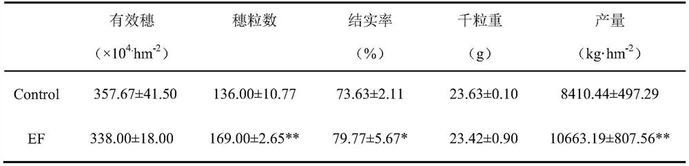 Use of compound microbial fertilizer in reducing content of heavy metals in rice grains