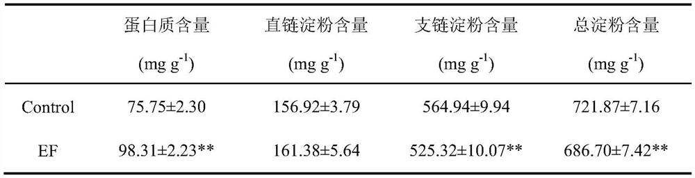 Use of compound microbial fertilizer in reducing content of heavy metals in rice grains