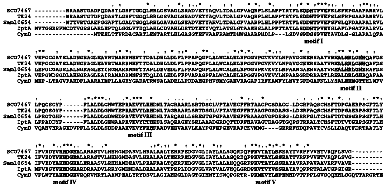 A degenerate primer and application for identifying heterozygous isoprenoid compound-producing bacteria