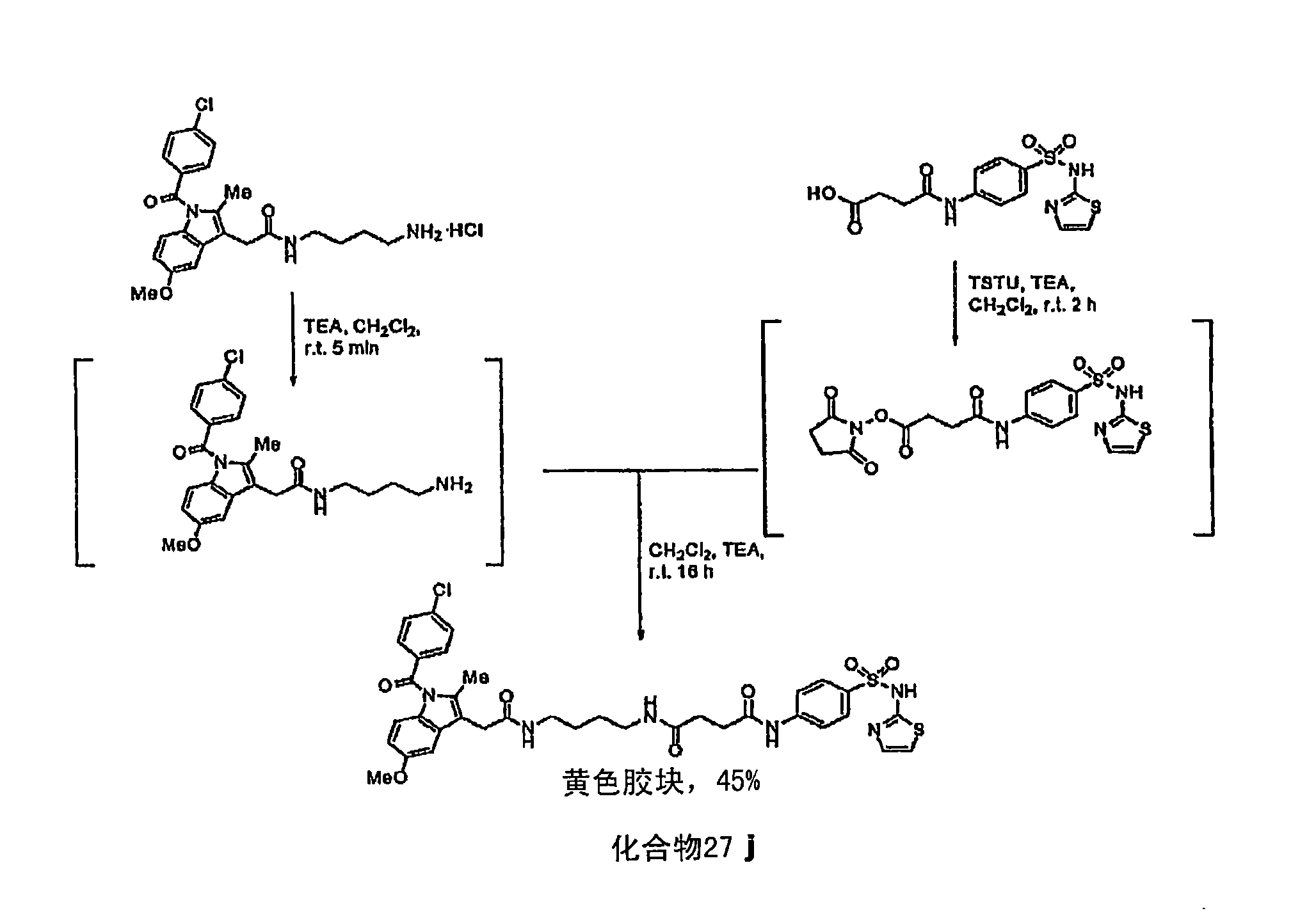 Methods and compositions for diagnostic and therapeutic targeting of cox-2