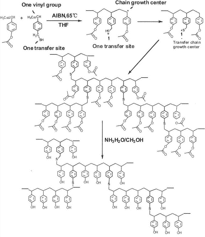Preparation method of branched poly (p-hydroxystyrene)