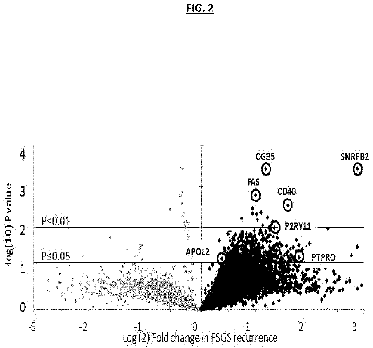 Methods and compositions for the prediction and treatment of focal segmental glomerulosclerosis