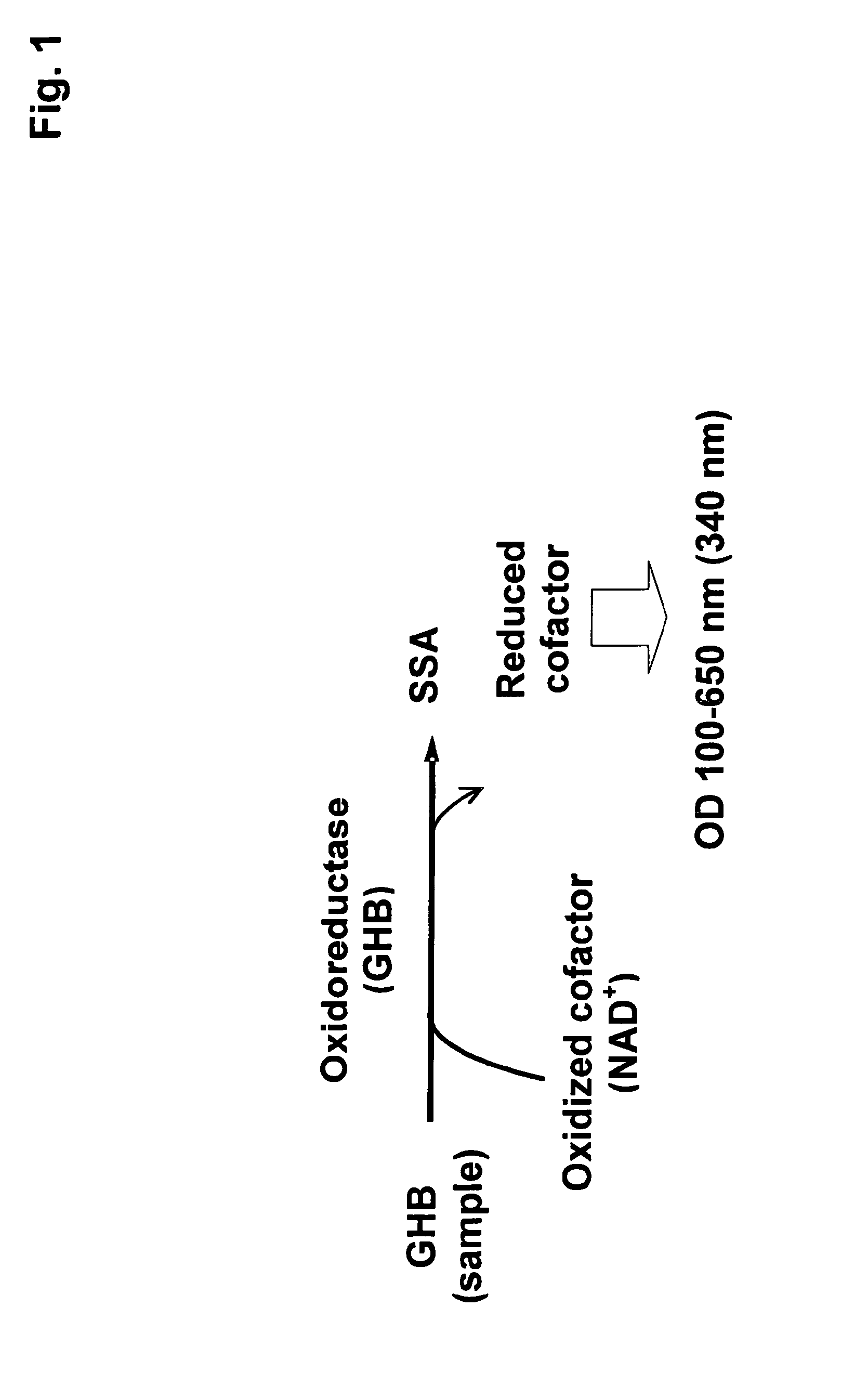 Methods for determining the concentration of gamma-hydroxy butyric acid (GHB) in a sample