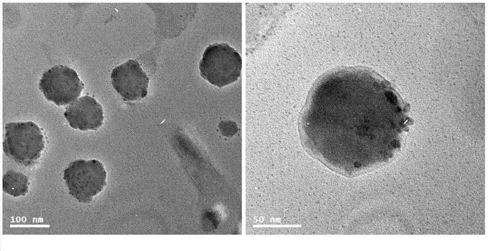 Polymersome with hydrophilic lumen carrying anthracene ring medicines as well as preparation method and application