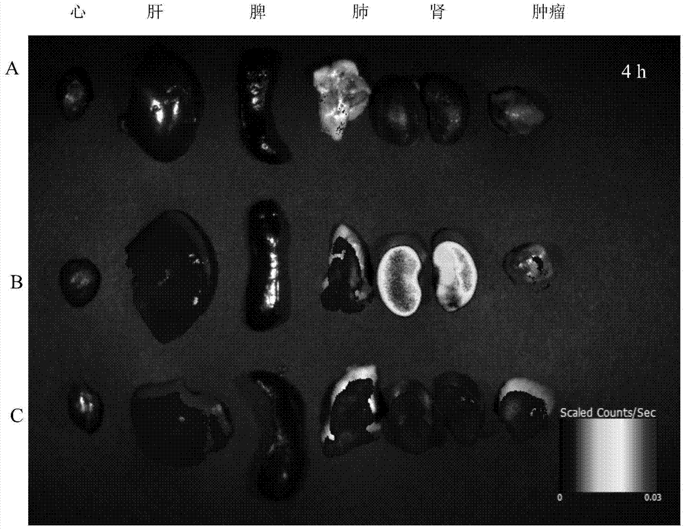 Polymersome with hydrophilic lumen carrying anthracene ring medicines as well as preparation method and application