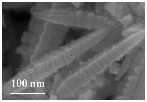 A preparation method of rh nanocrystals functionalized with hippocampus tail-shaped phosphonic acid