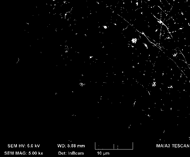 One-step preparation of carbon nitride/titanium dioxide heterojunction photocatalyst by electrospinning