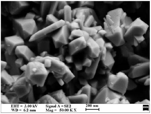 Preparation method and application of titanium dioxide nano-rod growing on diatomite in situ