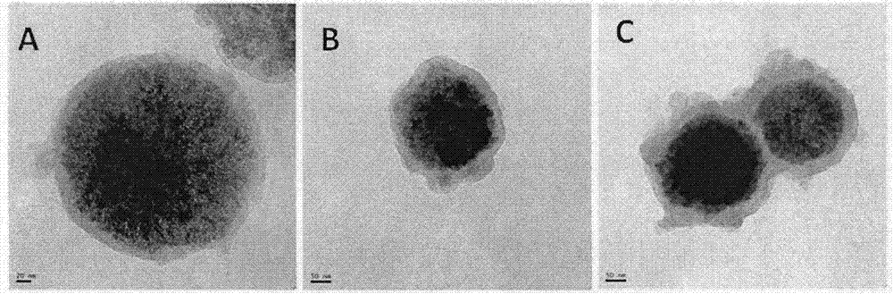 Fe3O4-poly-dopamine-Au nano-composite material as well as preparation method and application thereof