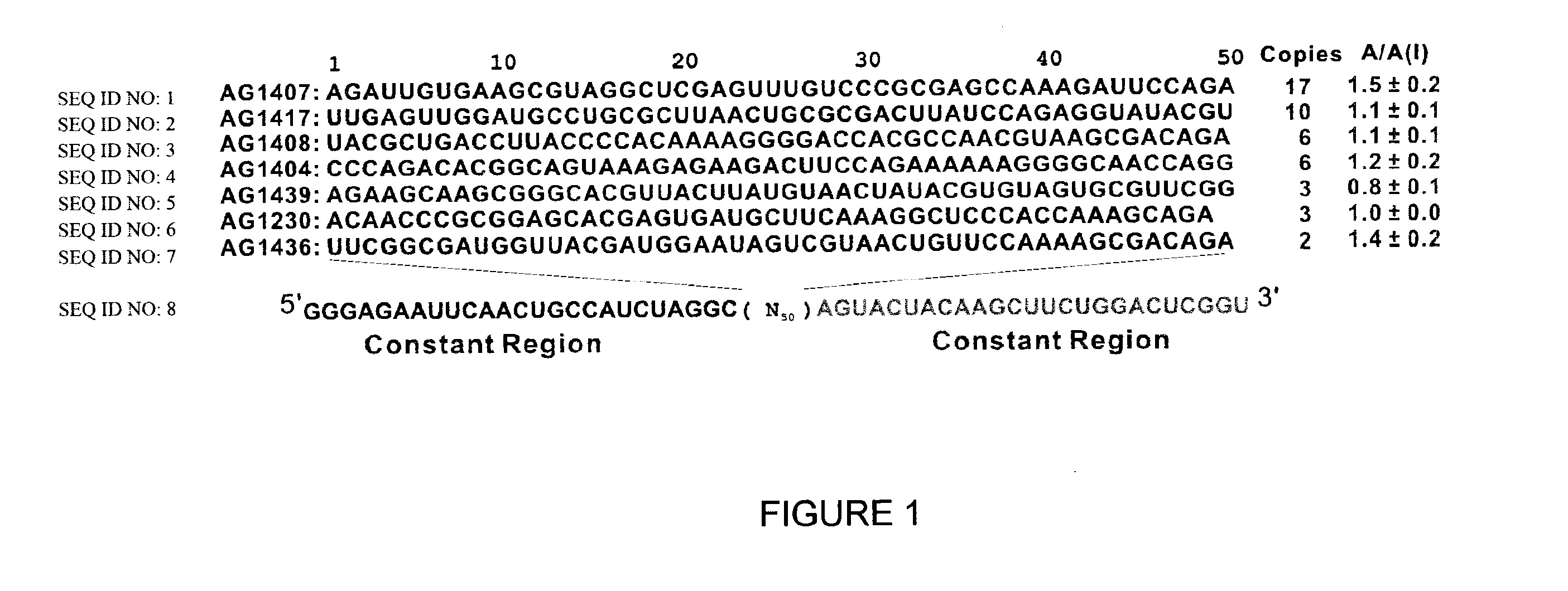 Conformation-selective nucleic acid inhibitors of AMPA glutamate receptors