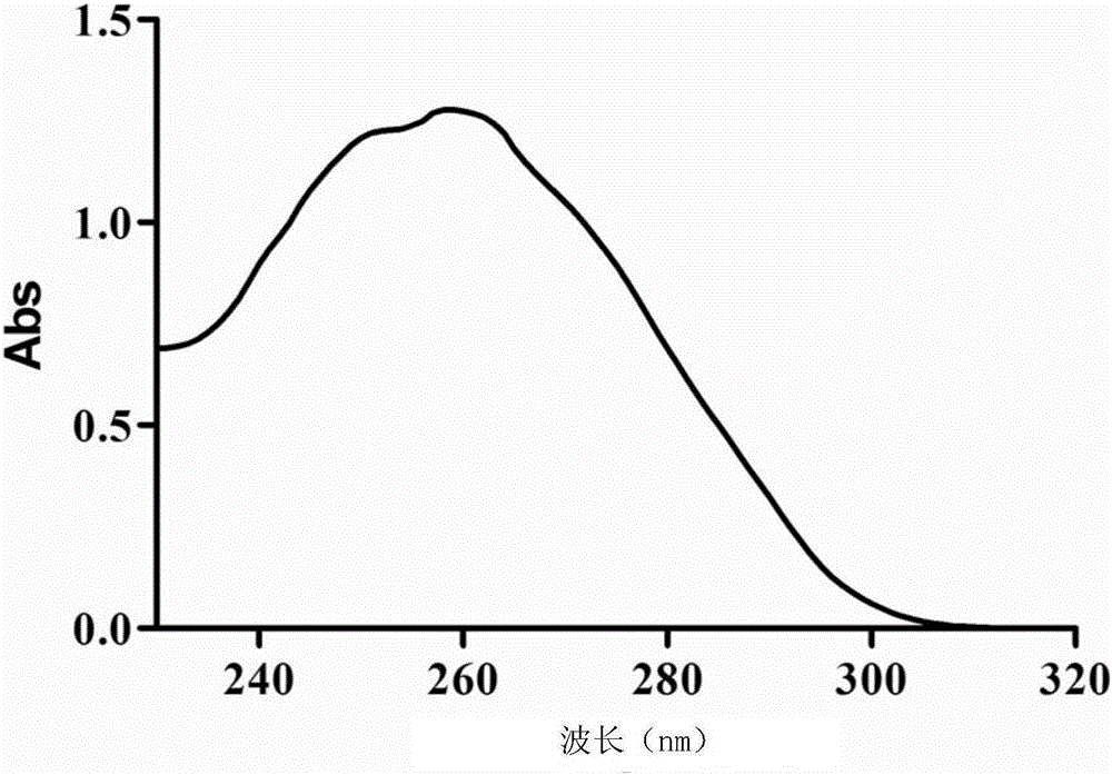 Preparation method of microorganism ribosome and application of microorganism ribosome to preparing recombinant protein