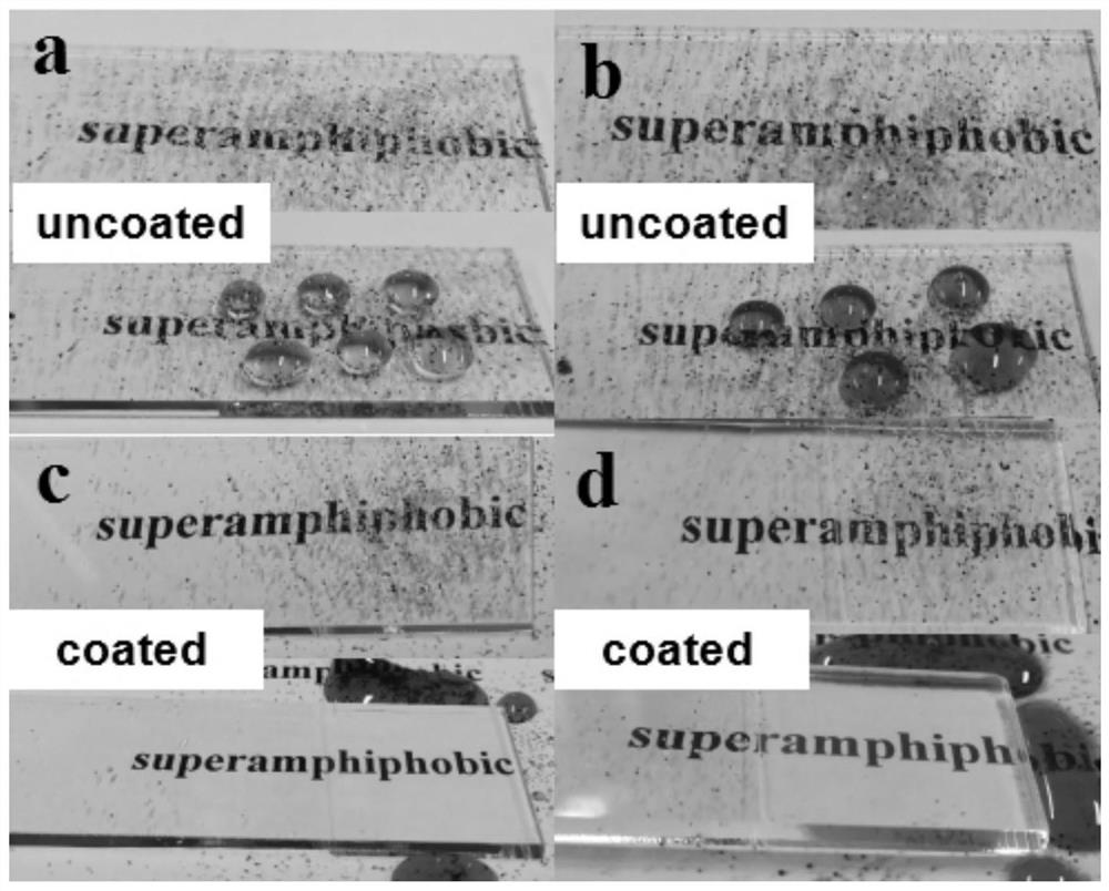 Preparation method of super-amphiphobic antifouling transparent coating