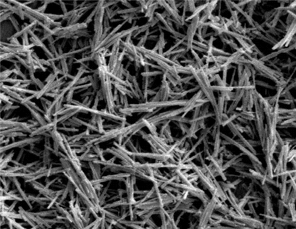 Method for preparing pine-like cadmium sulfide from ethylenediamine type ionic liquid