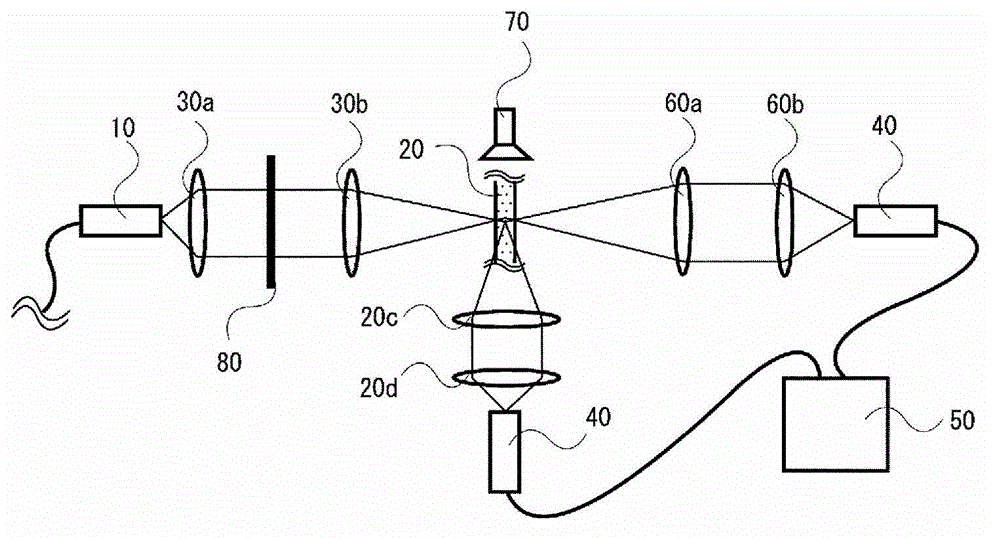 Particle diameter measurement device, and particle diameter measurement method