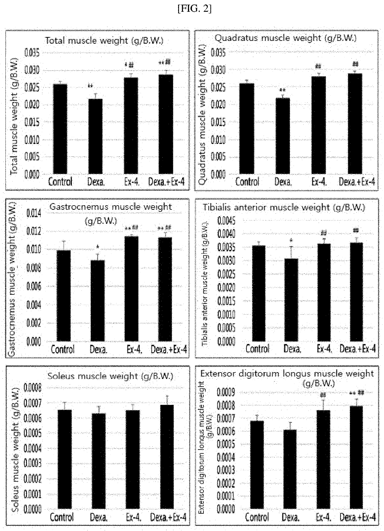 Pharmaceutical composition for treating muscle atrophy or sarcopenia including glucagon-like peptide (GLP-1) or GLP-1 receptor agonist