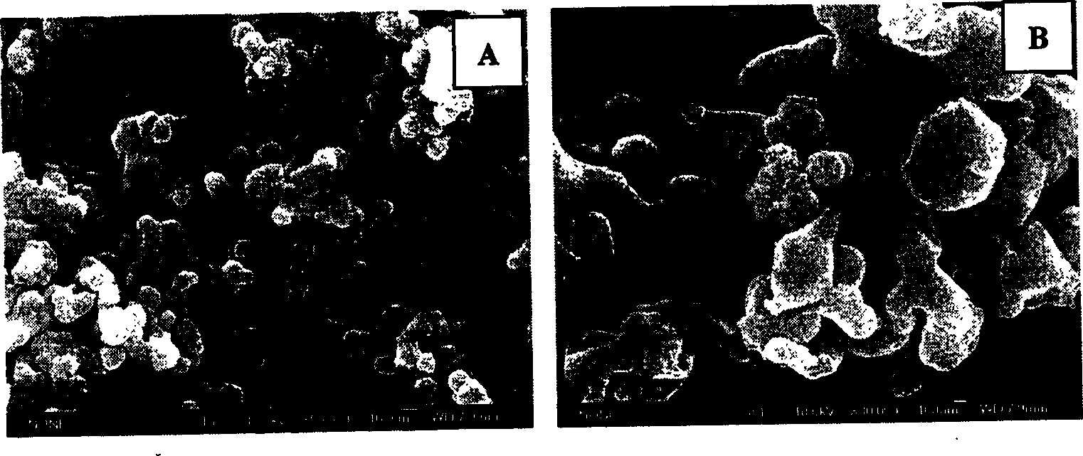 Method for preparing calcium silicate/beta- tricalcium phosphate composite powder by in situ chemical precipitation method