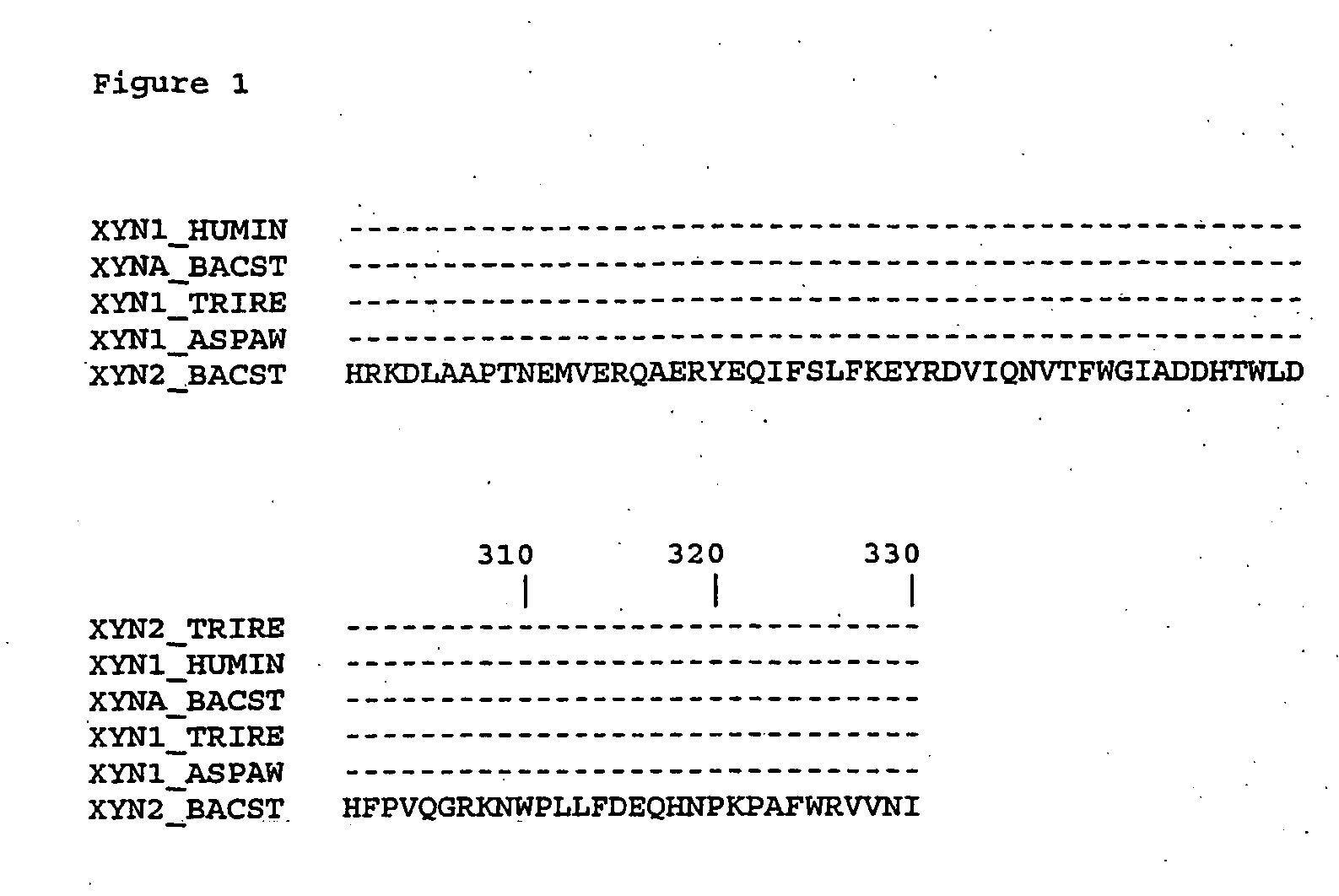 Modified enzymes, methods to produce modified enzymes and use thereof
