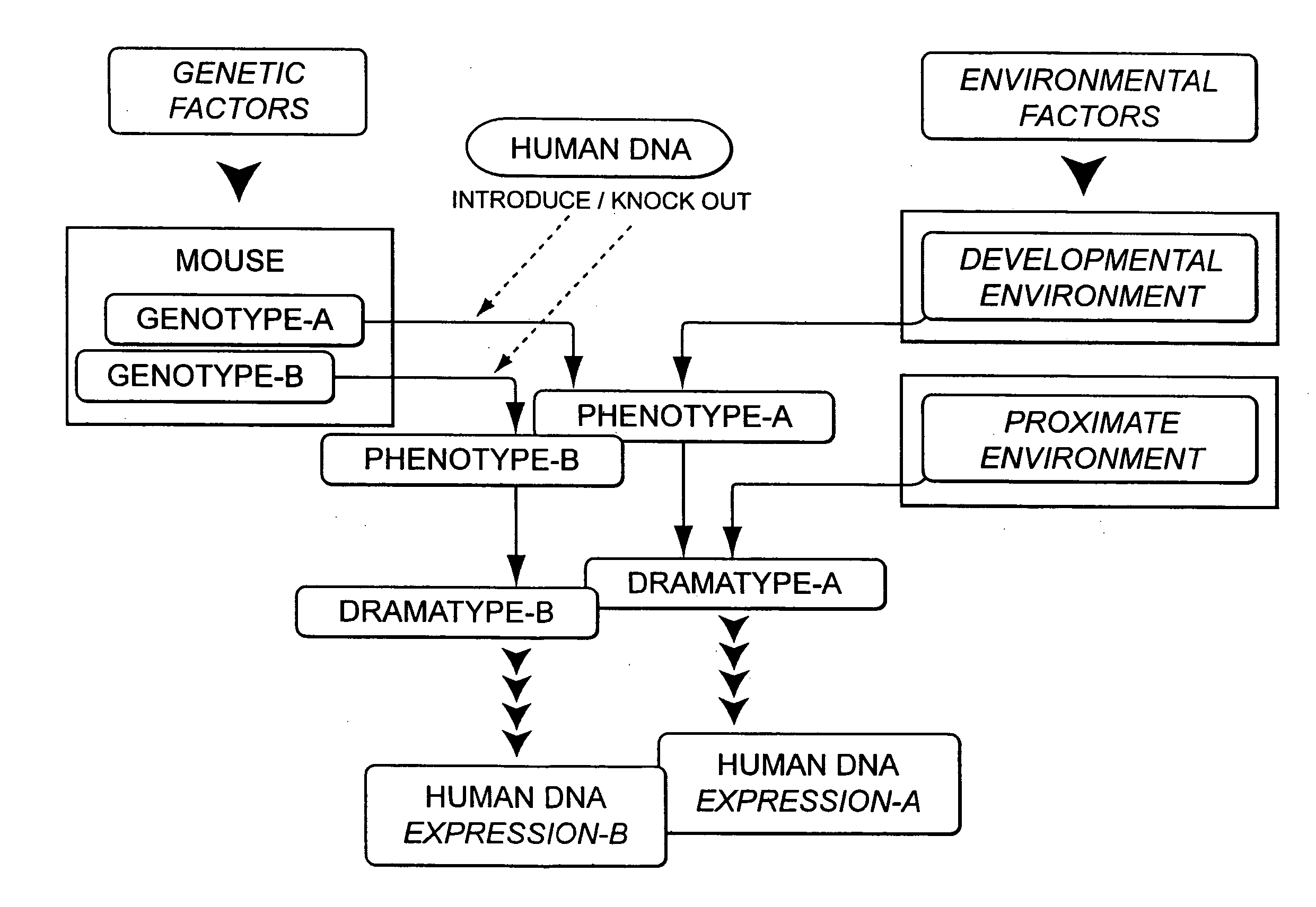 Integrated in vivo animal experimentation systems