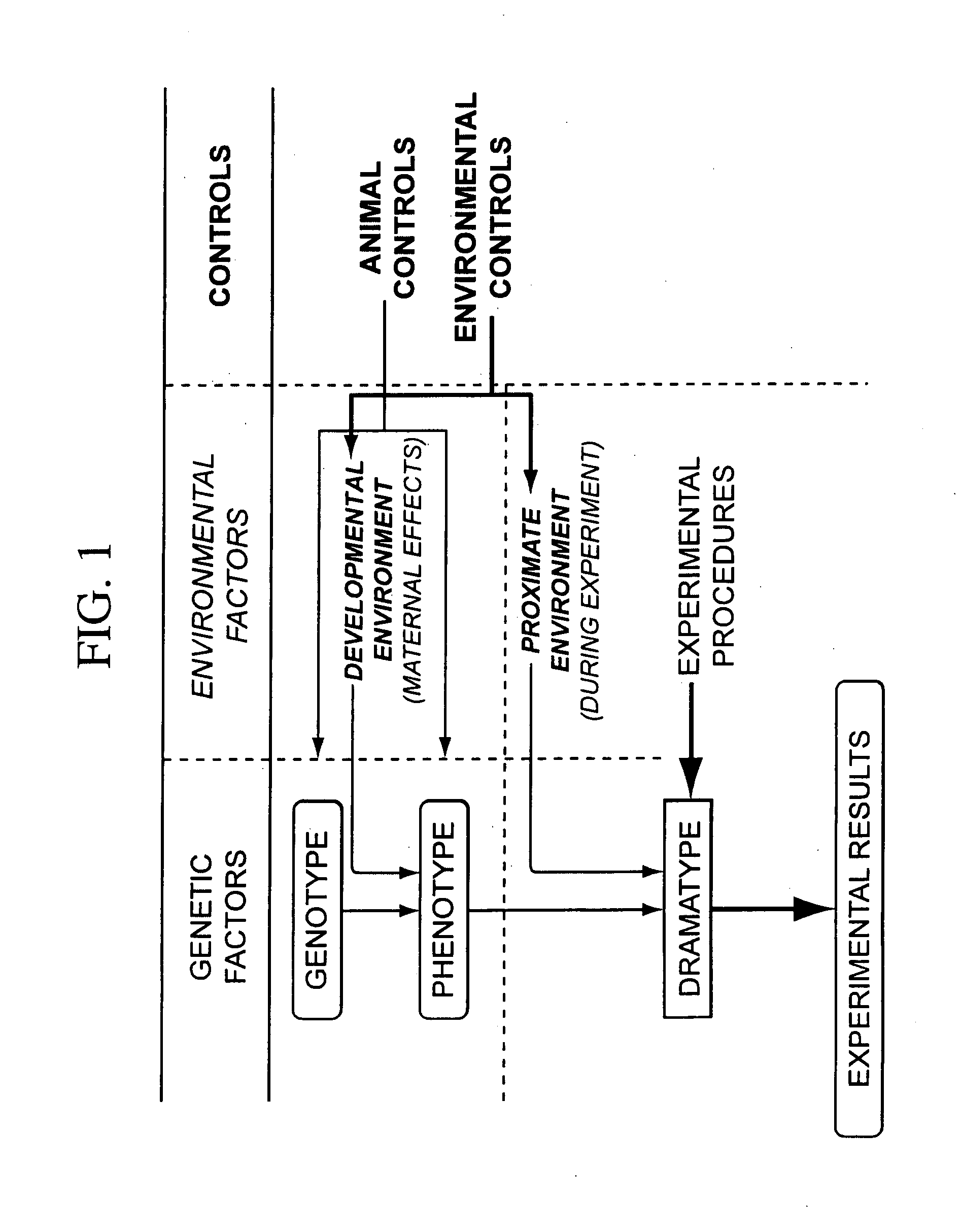 Integrated in vivo animal experimentation systems