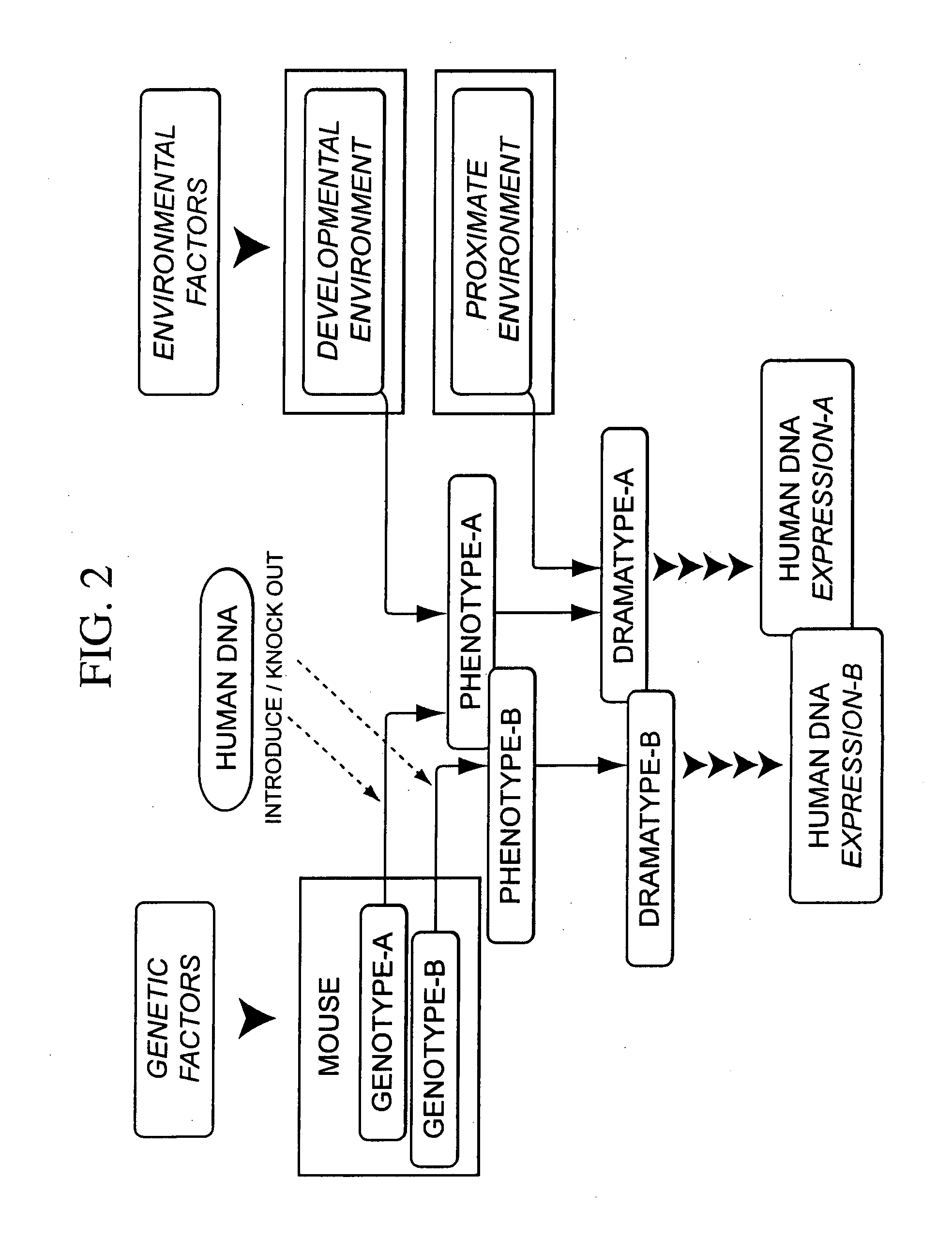 Integrated in vivo animal experimentation systems