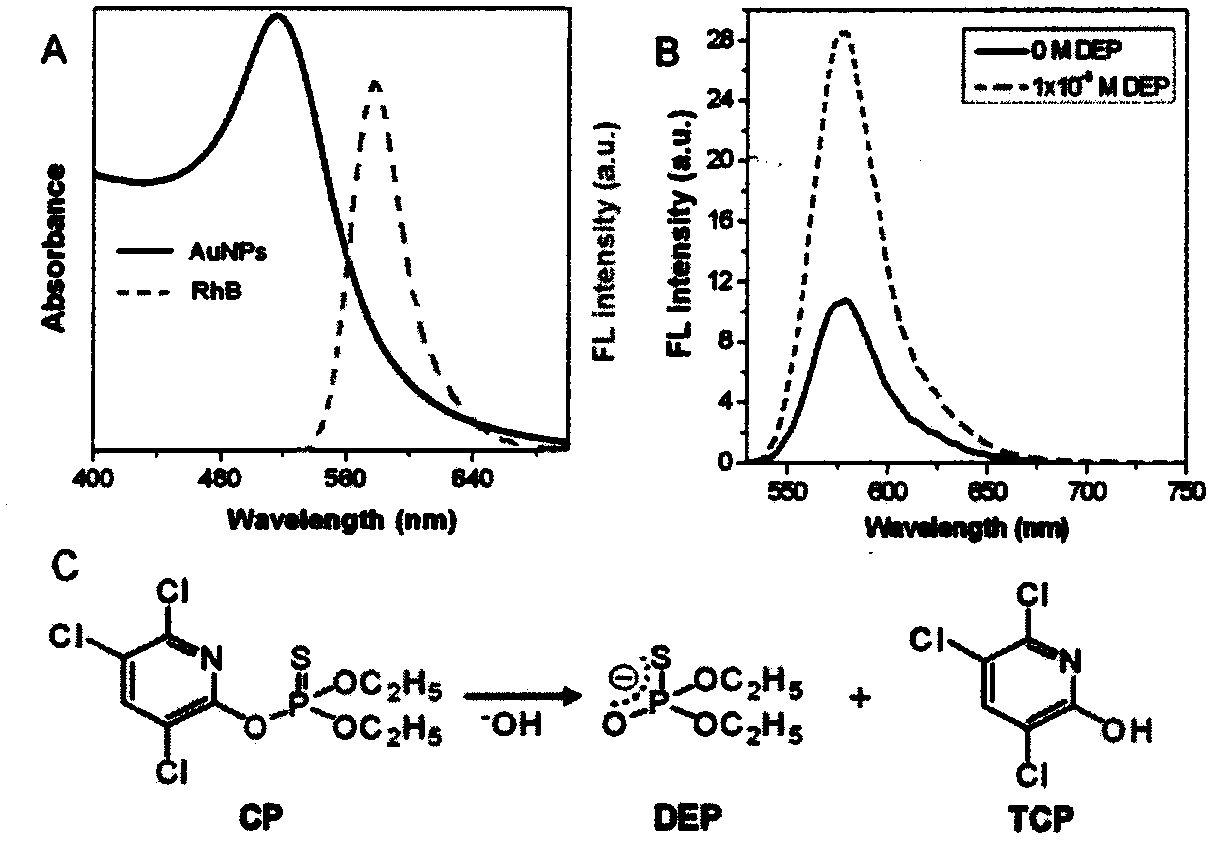 Rhodamine B modified gold nanoparticle probe capable of performing visual detection on Dursban and hydrolysis product thereof, and preparation method of probe