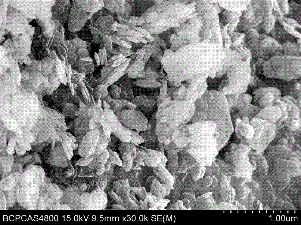Dissociation method of coal-series hard kaolinite rock lamella