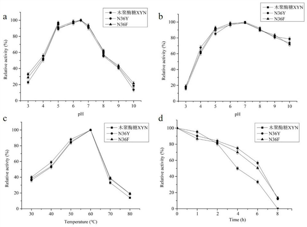 A kind of high specific enzyme activity xylanase mutant and its application