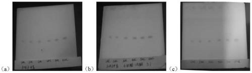 Method for extraction and content determination of lignan components of Chinese magnoliavine fruit