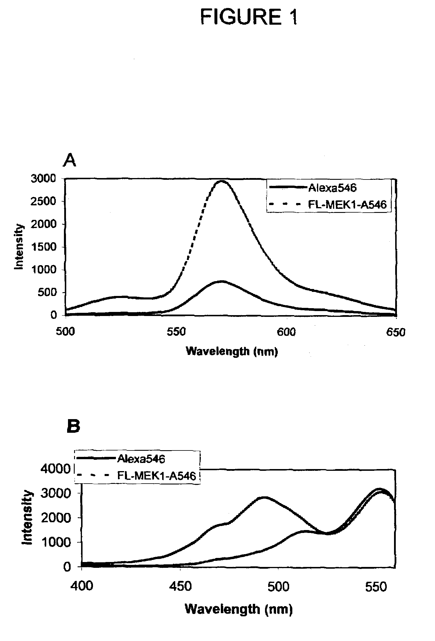 Peptide biosensors for anthrax protease