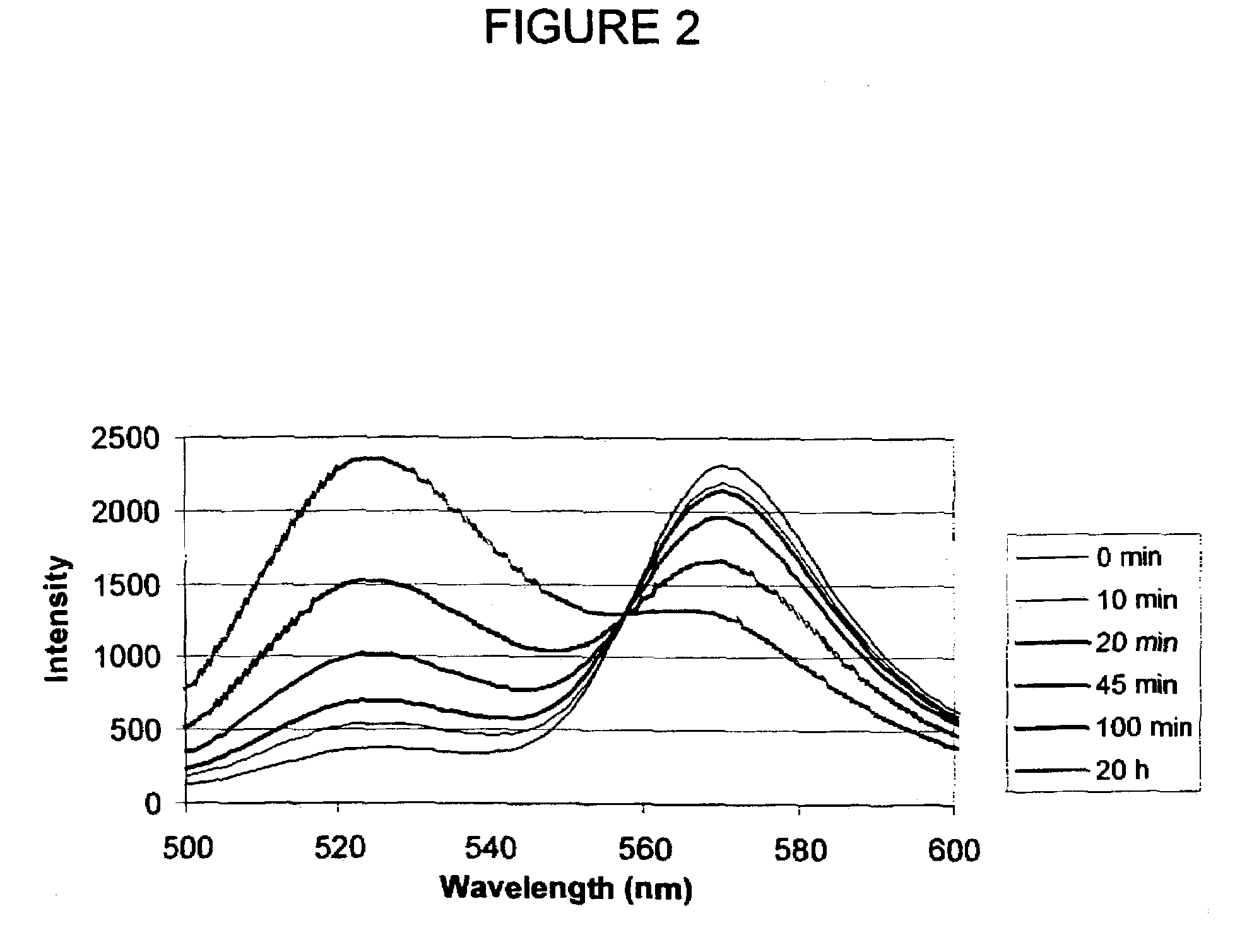 Peptide biosensors for anthrax protease